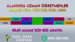 LGS Türkçe Özel Ders Ağrı