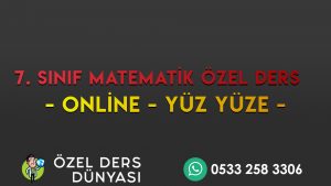 Tekirdağ Matematik Özel Ders