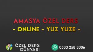 LGS Türkçe Özel Ders Amasya