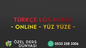 LGS Türkçe Özel Ders Sinop