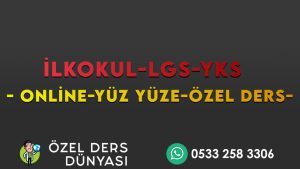 Hızlı Okuma Kursu Bitlis