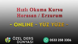 Hızlı Okuma Kursu Horasan 