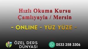 Hızlı Okuma Kursu Çamlıyayla